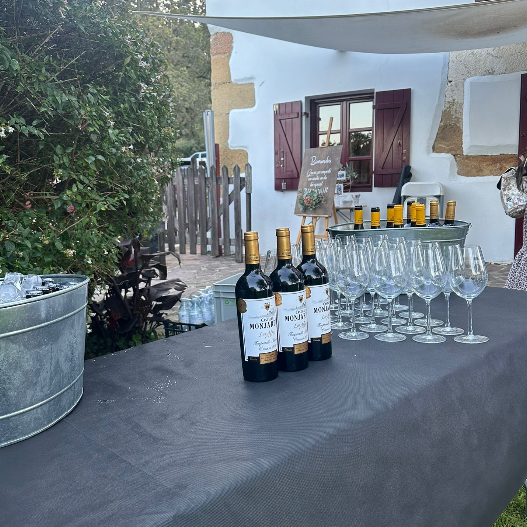 Captura de pantalla 2026-03-25 123835